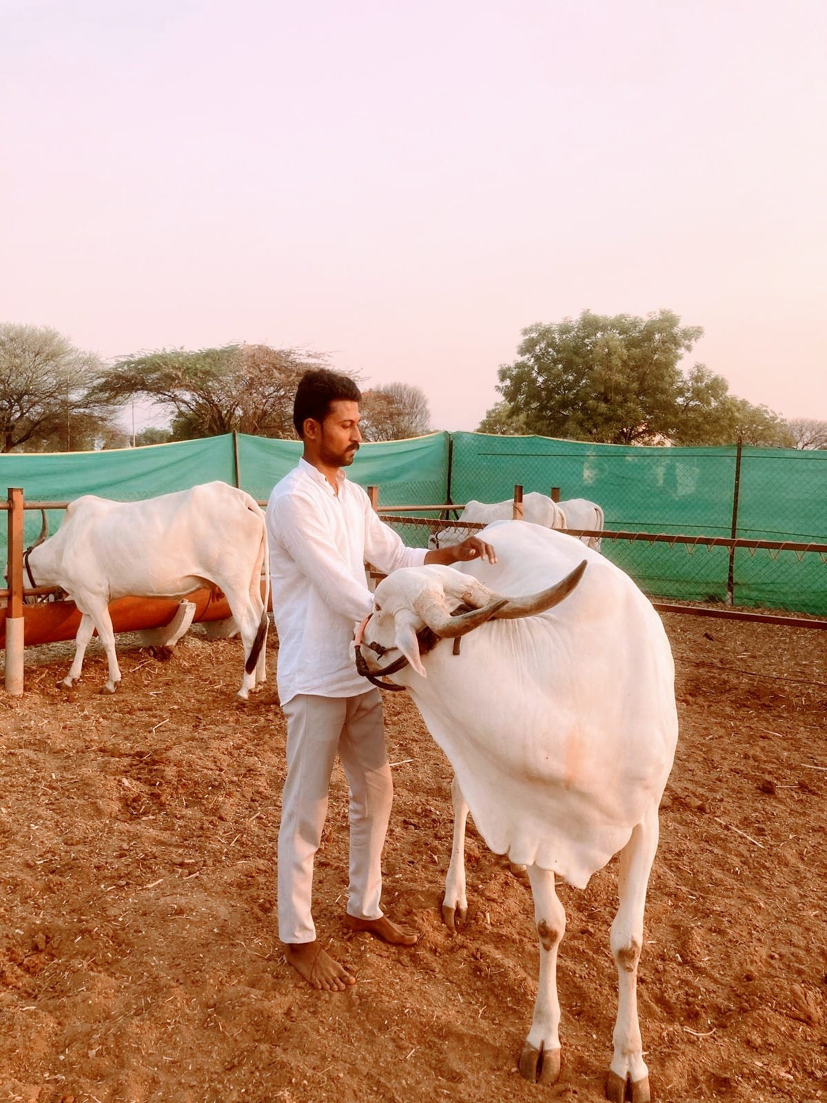 संस्थापक